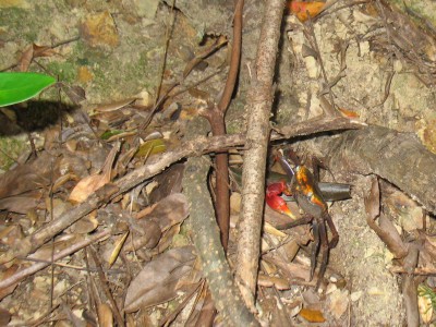 松島にも劣らじ