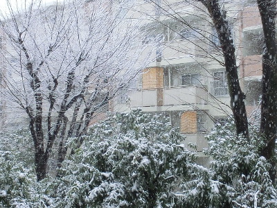 雪の関東地方