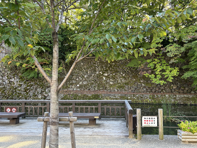 大手堀